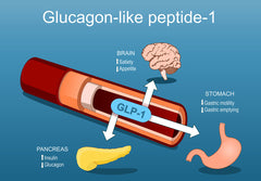 Private Label Custom Peptides for Research Purposes